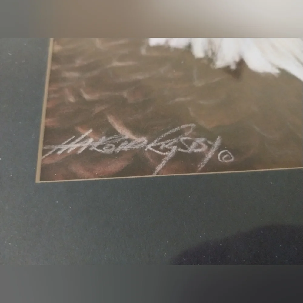 Bald Eagle print - Picture 5 of 15